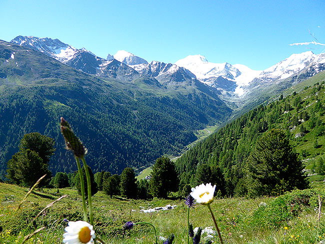 Ausblick aufs Weisshorn im Turtmanntal