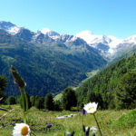 ausblick-alpentipi-turtmanntal-weisorn-1300